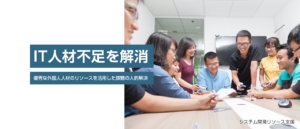 システム開発リソース支援​