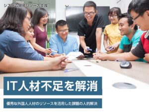 システム開発リソース支援​