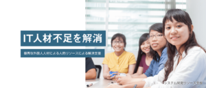 システム開発リソース支援​